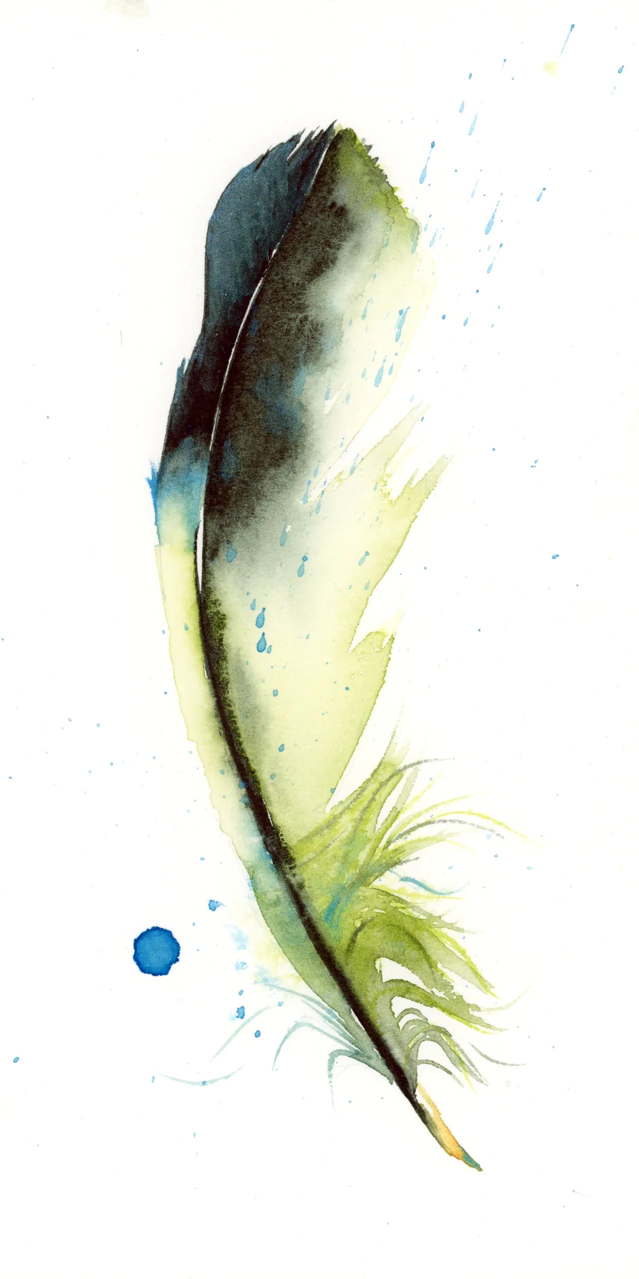 Green Jay — watercolor by Shayna Larsen
