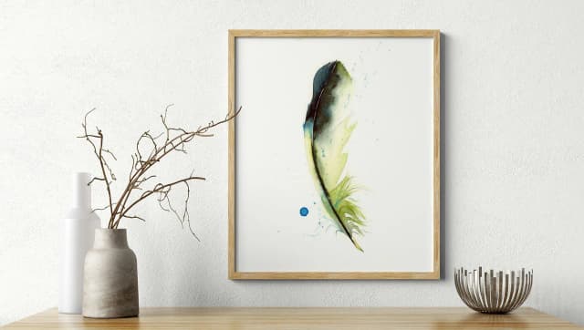 Green Jay shown in a room setting