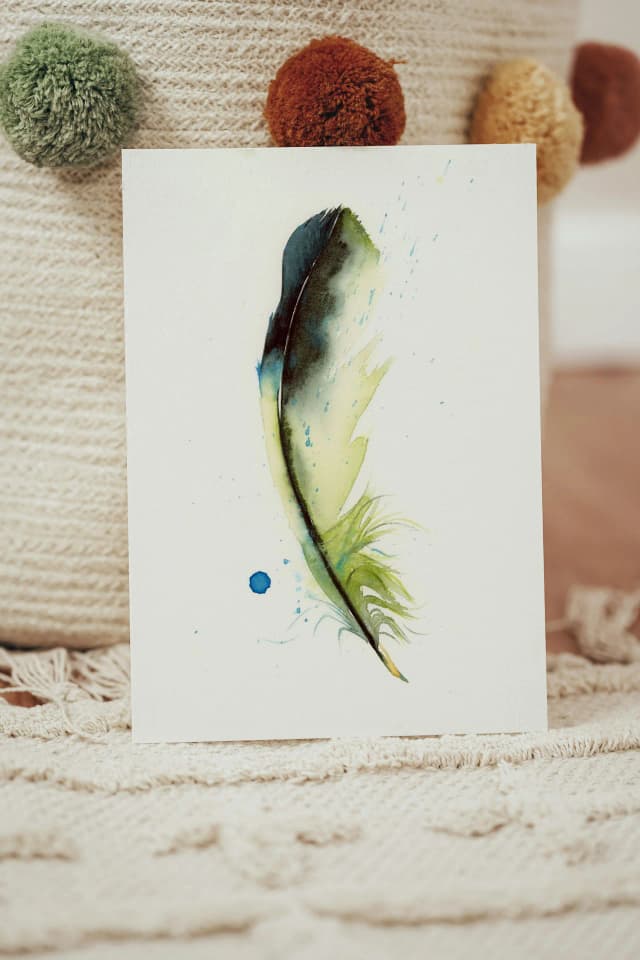 Green Jay shown in a room setting