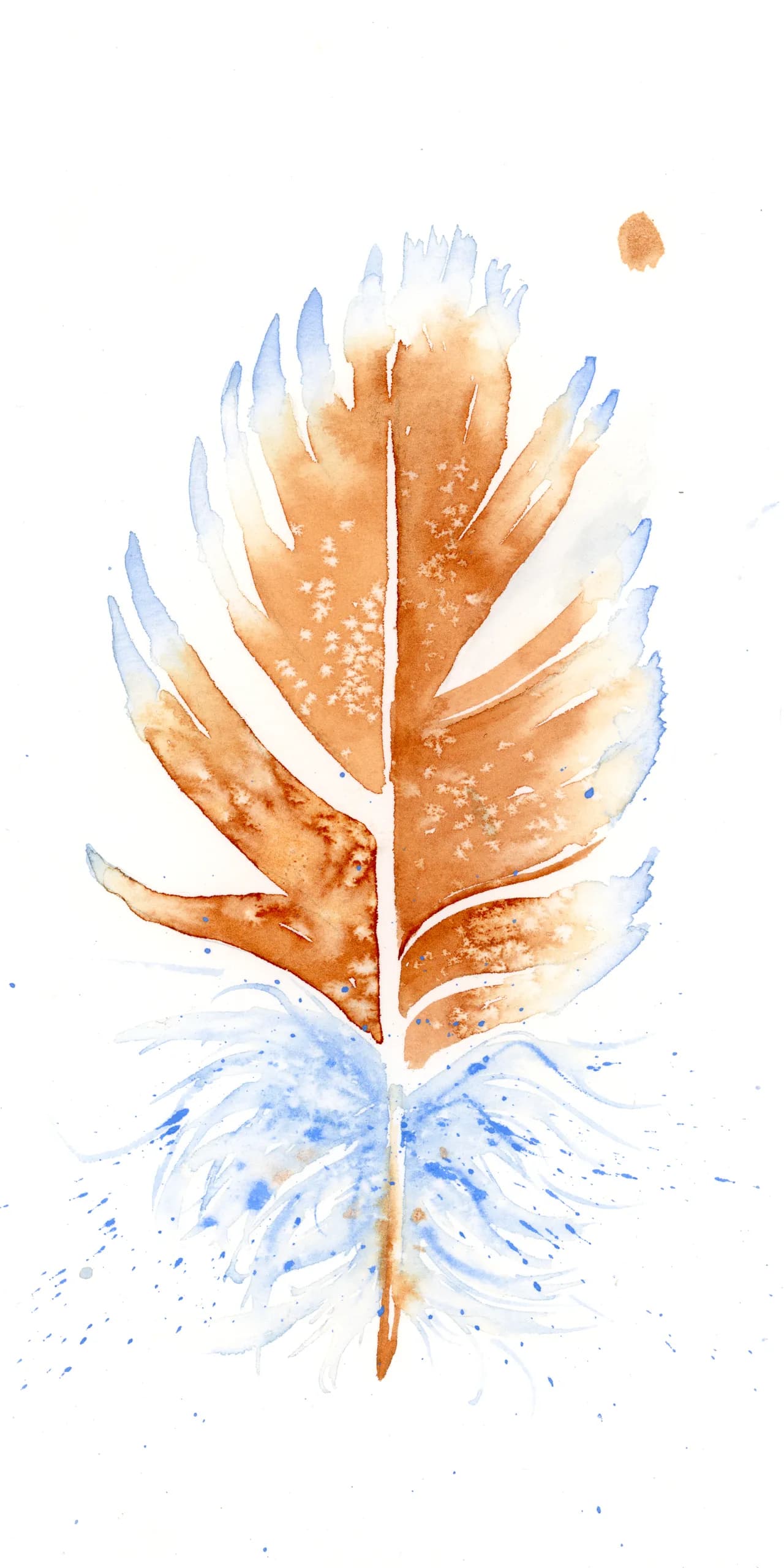 American Robin — watercolor by Shayna Larsen