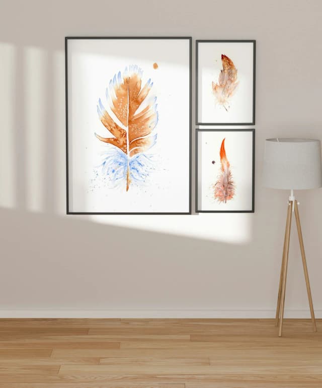 American Robin shown in a room setting