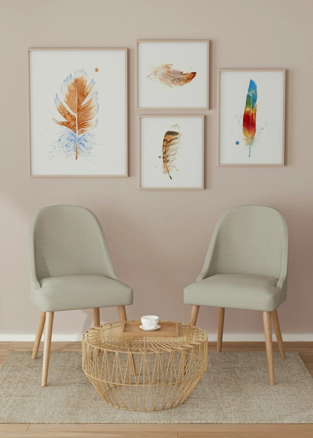 American Robin shown in a room setting