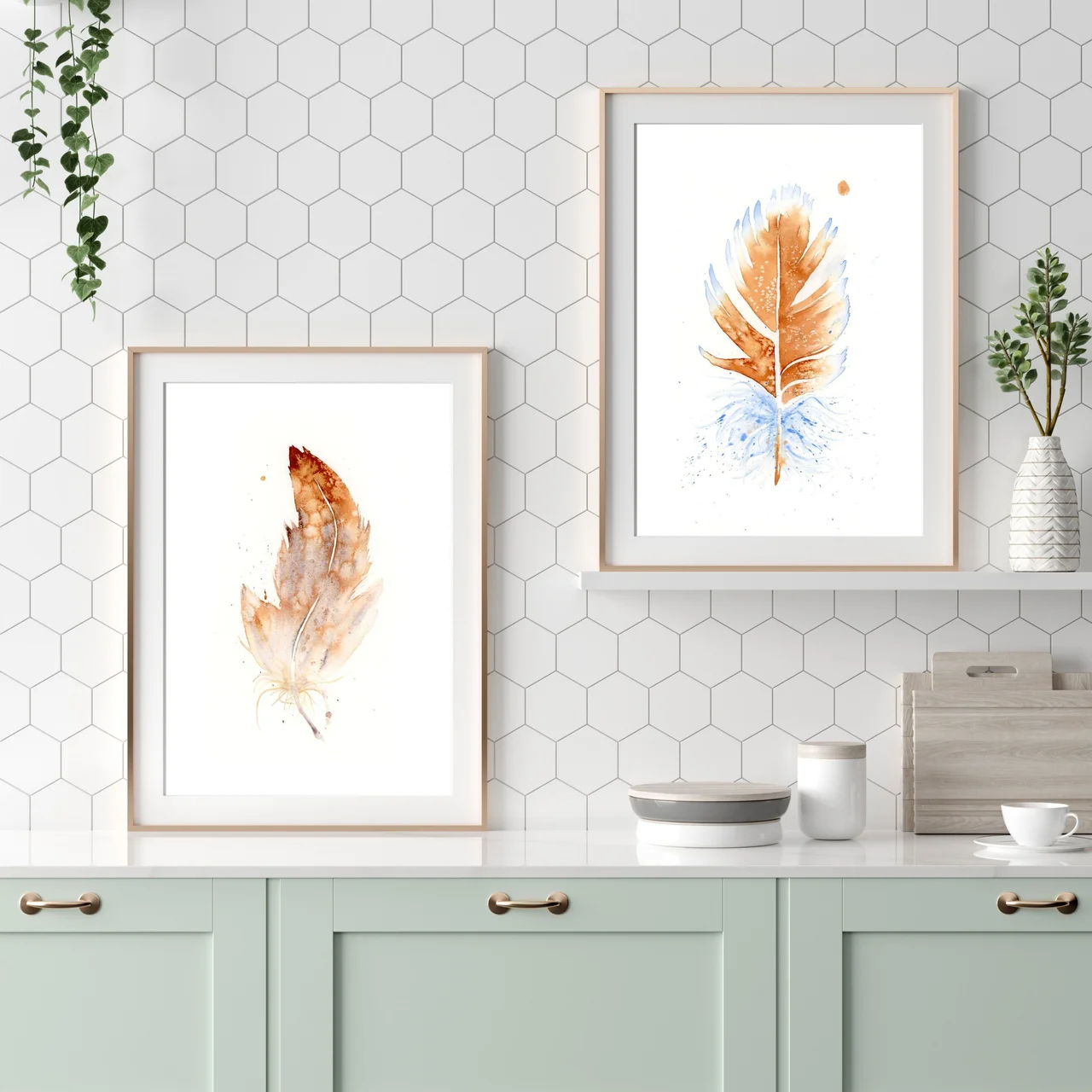 American Robin shown in a room setting