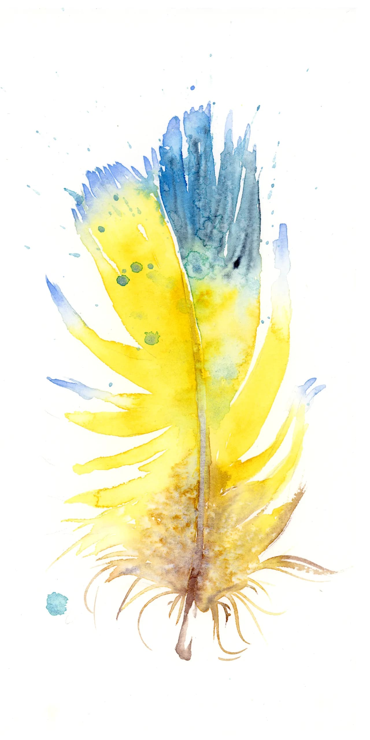Blue-and-yellow Macaw — watercolor by Shayna Larsen