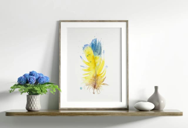 Blue-and-yellow Macaw shown in a room setting