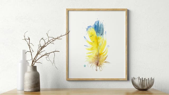 Blue-and-yellow Macaw shown in a room setting
