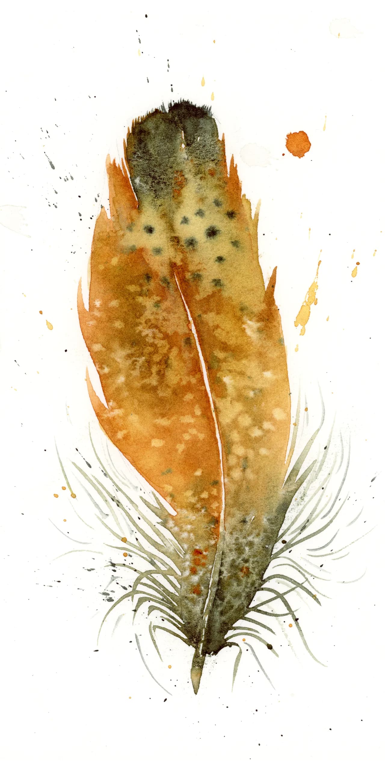 American Woodcock — watercolor by Shayna Larsen