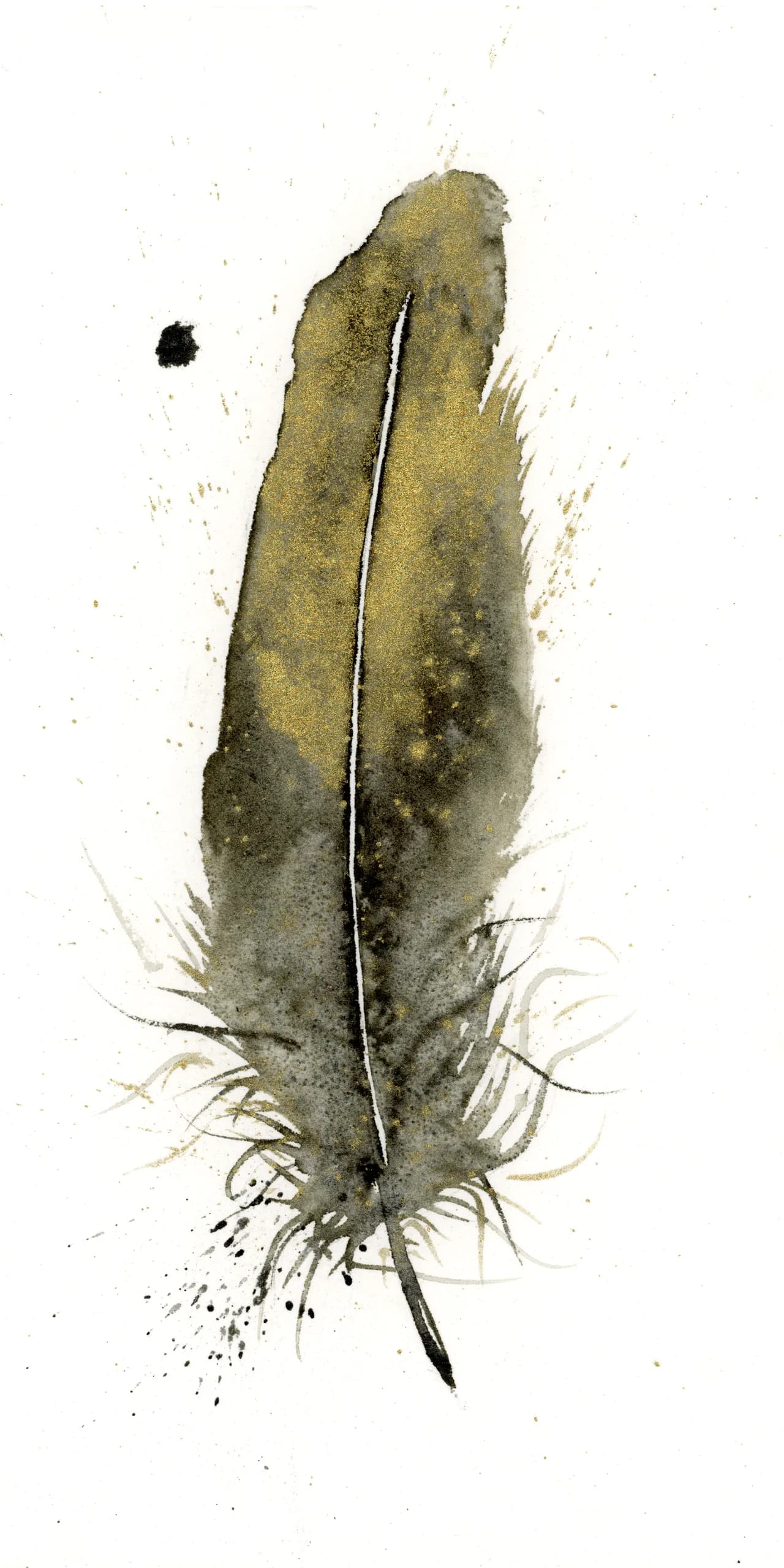 American Goldfinch — watercolor by Shayna Larsen