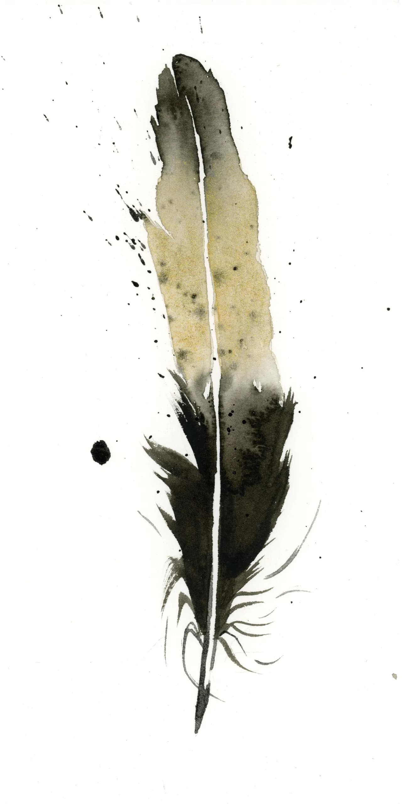 Black-capped Chickadee — watercolor by Shayna Larsen