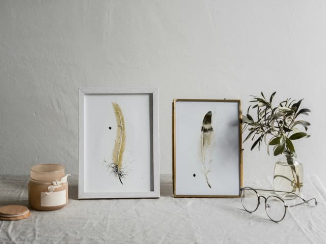 Golden Pheasant shown in a room setting