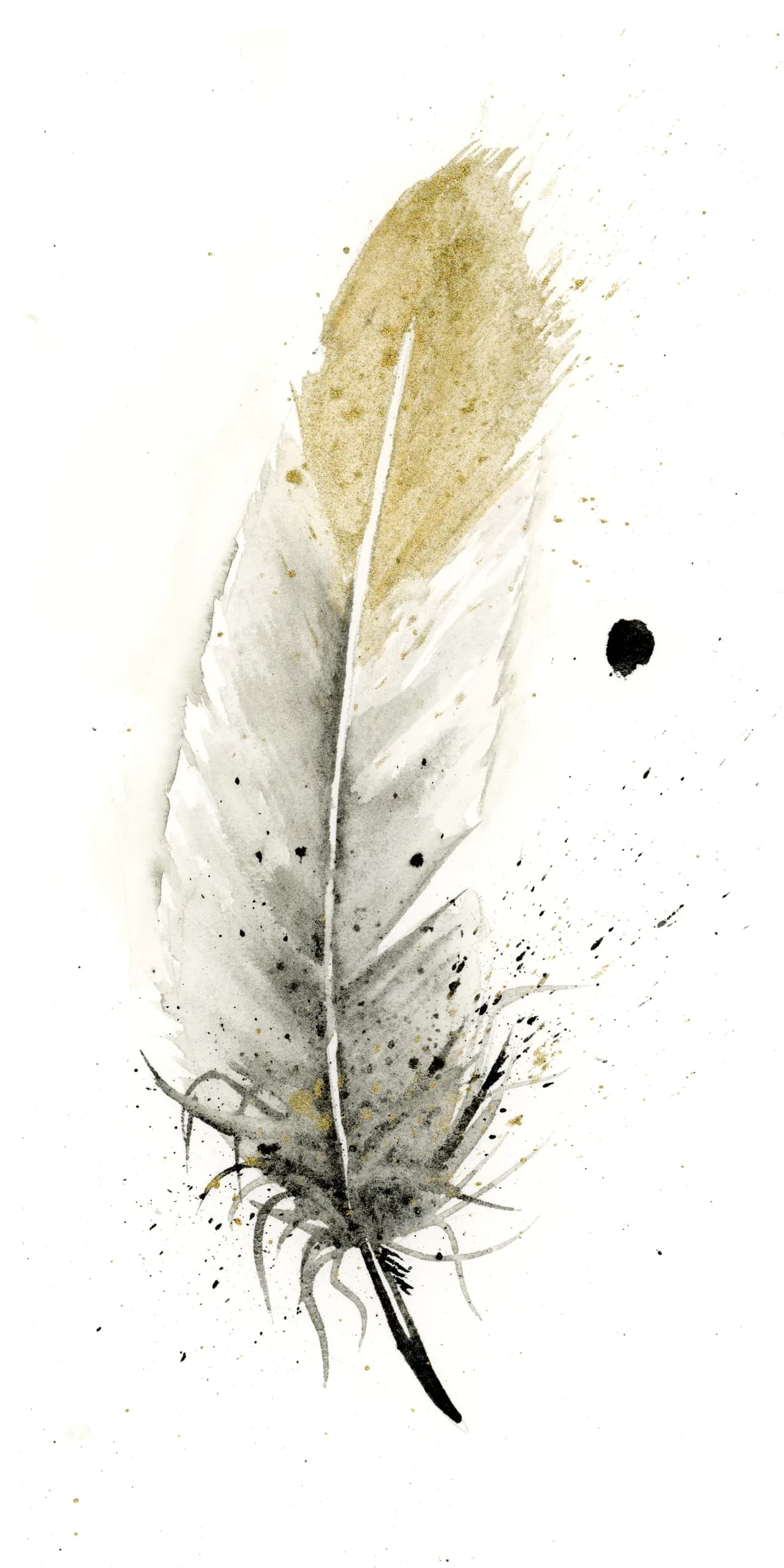American Robin — watercolor by Shayna Larsen