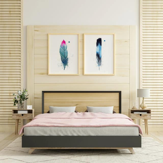 Hummingbird shown in a room setting