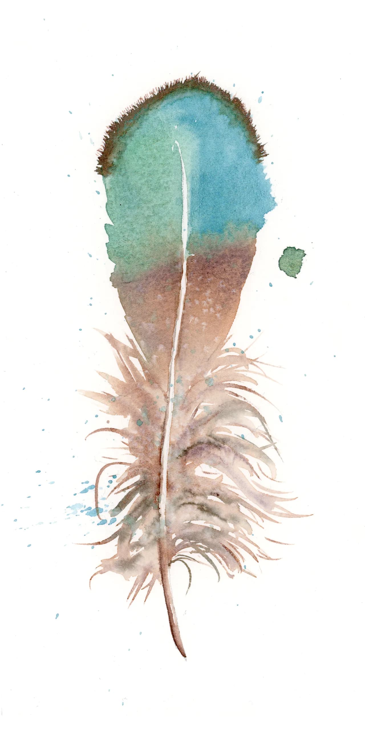 Duck — watercolor by Shayna Larsen