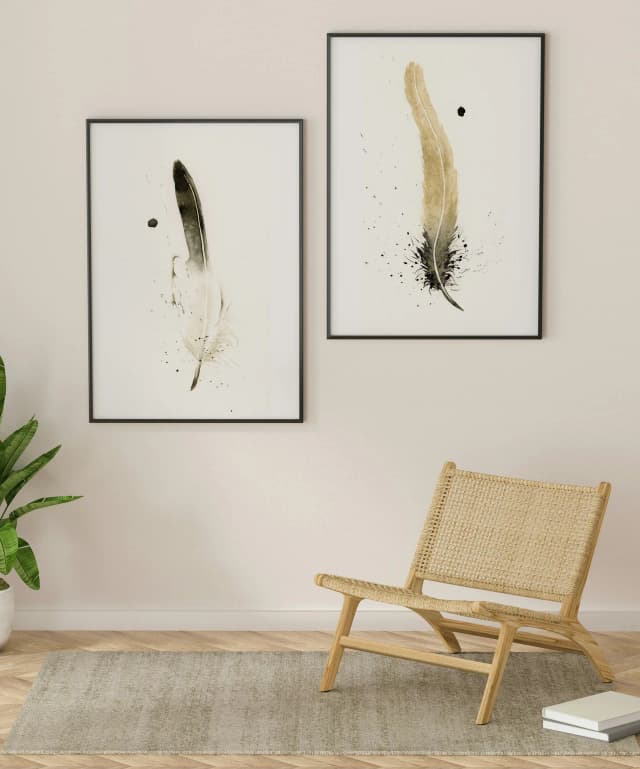 American Crow shown in a room setting