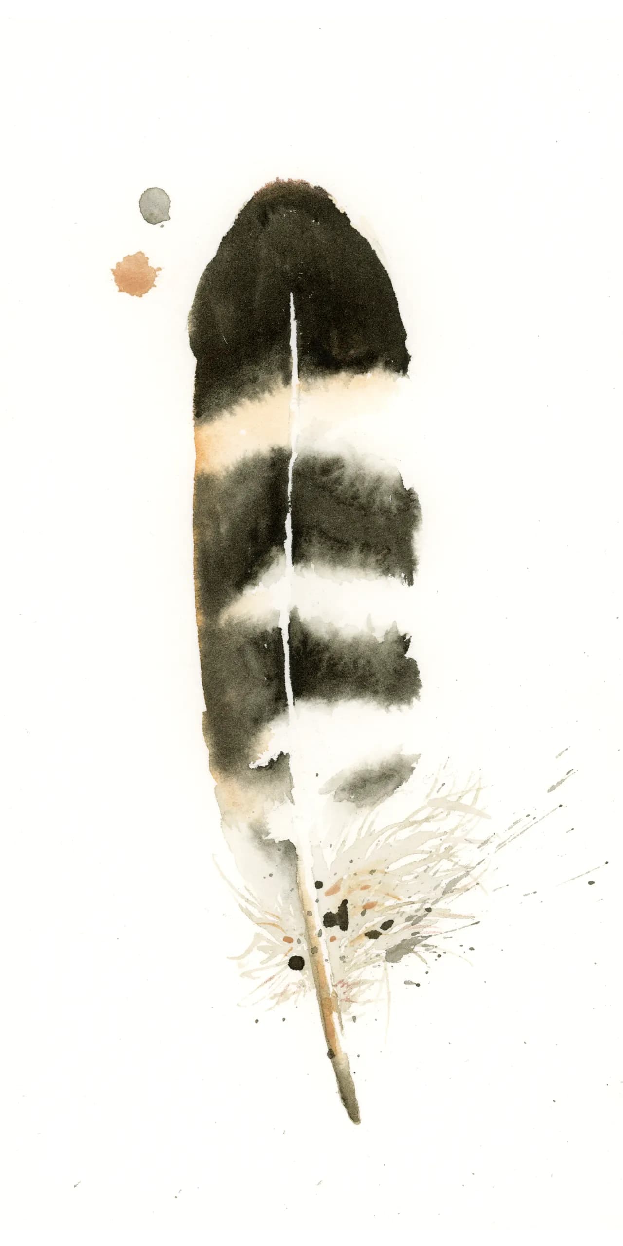 Owl — watercolor by Shayna Larsen