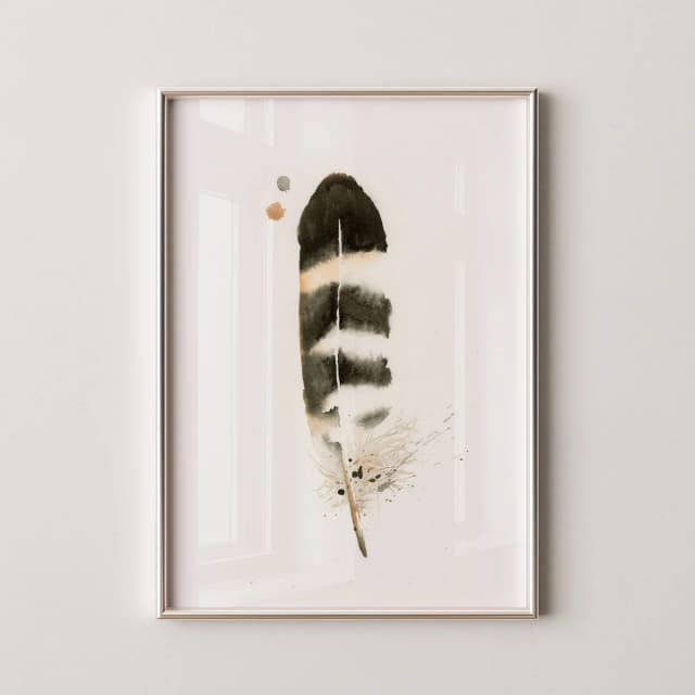 Owl shown in a room setting