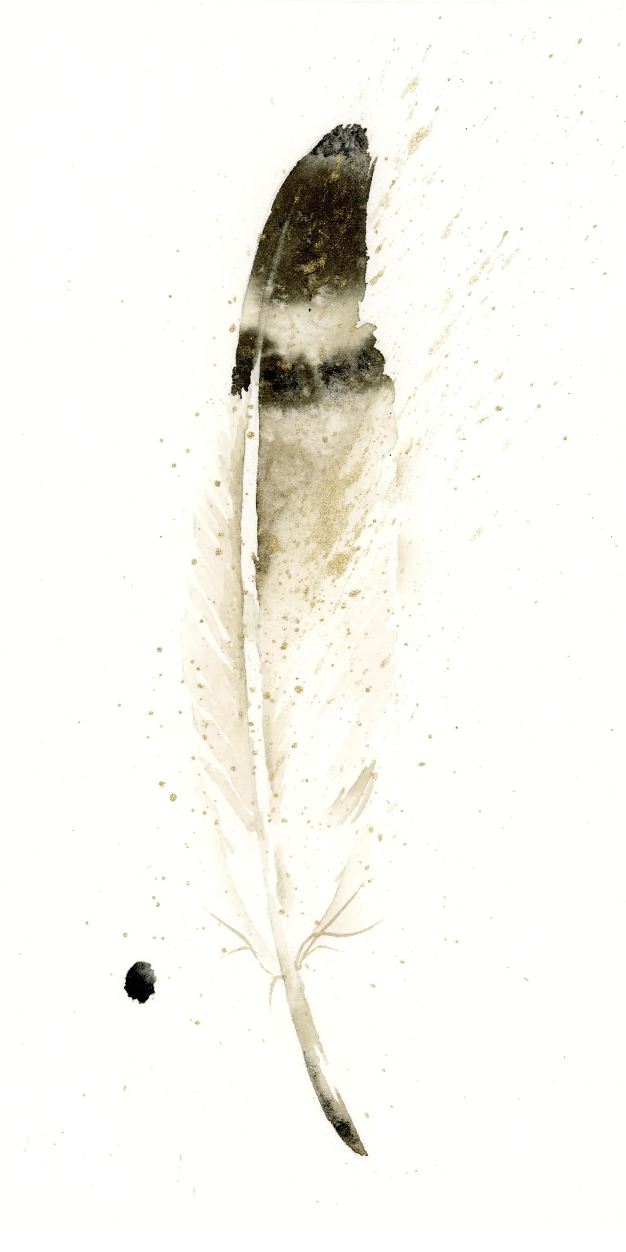 Western Sandpiper — watercolor by Shayna Larsen