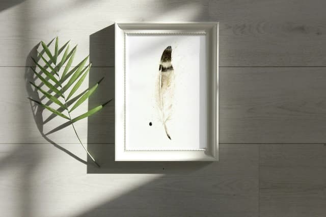 Western Sandpiper shown in a room setting