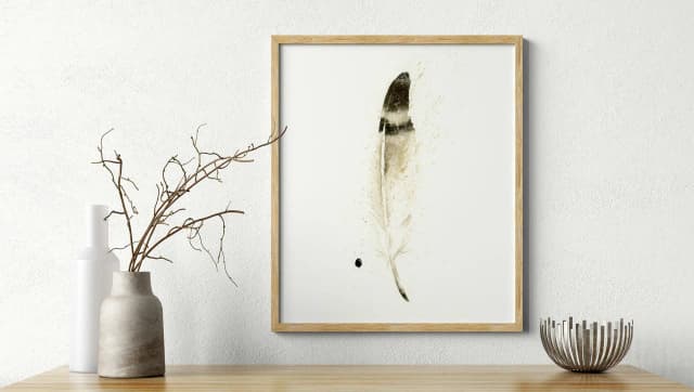 Western Sandpiper shown in a room setting