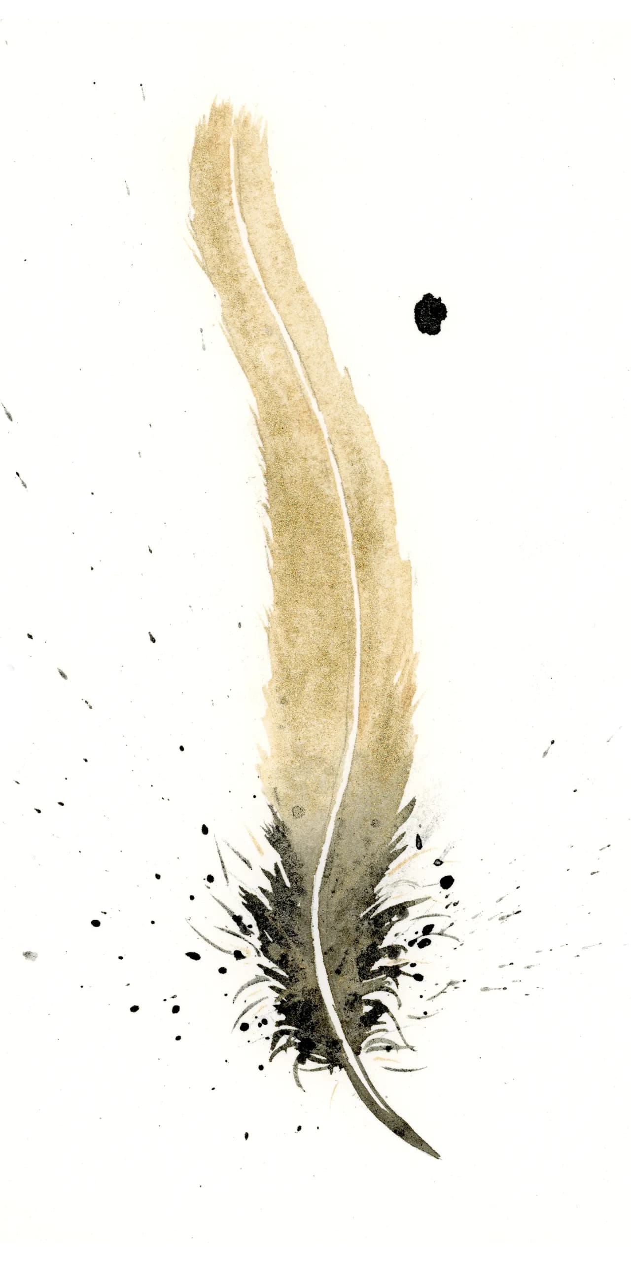 Common Barn Owl — watercolor by Shayna Larsen