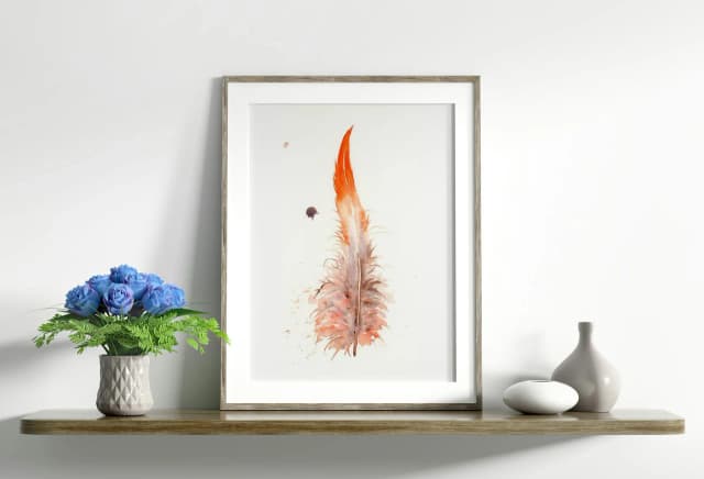 Scarlet Macaw shown in a room setting