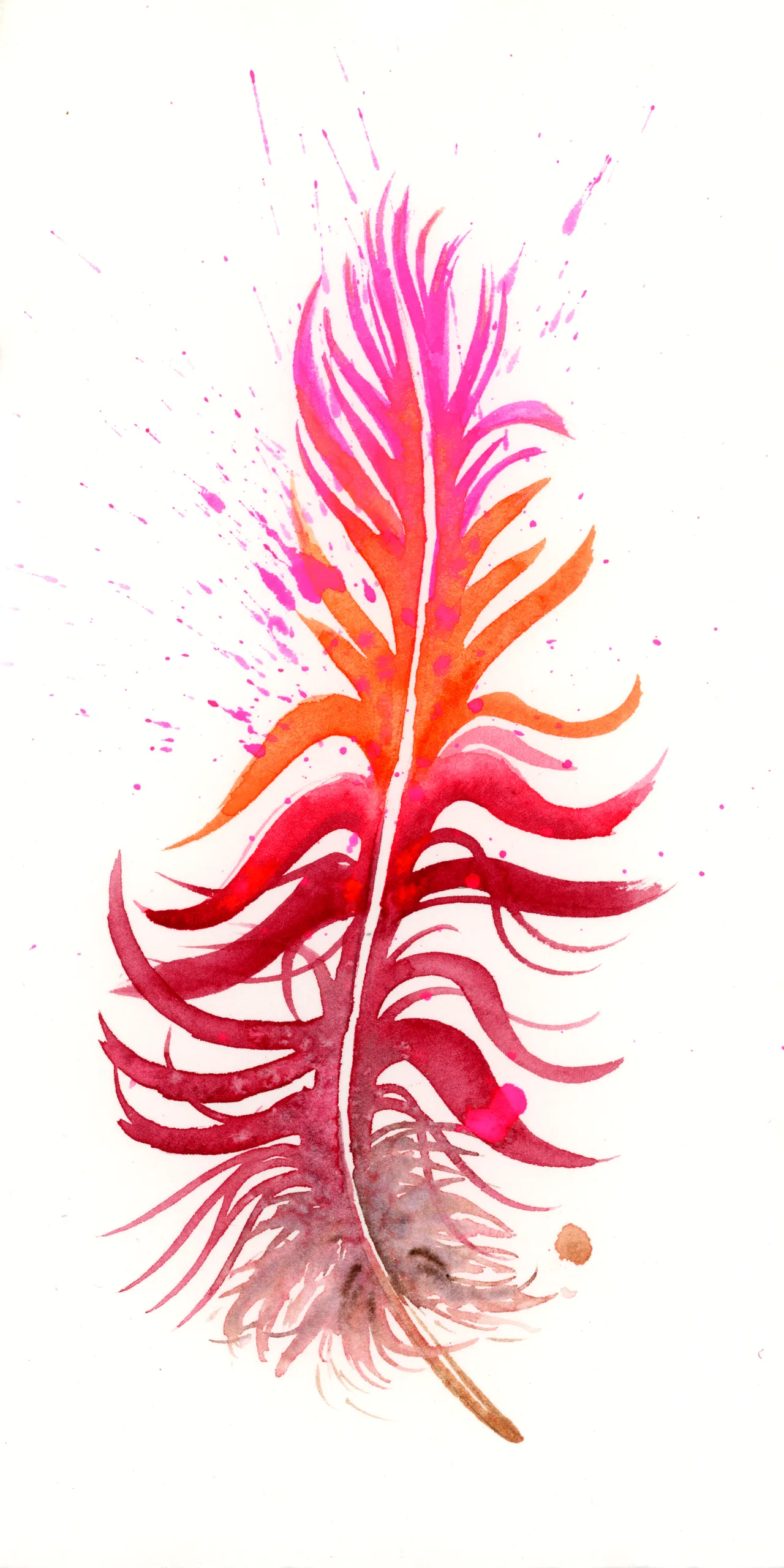 Scarlet Macaw — watercolor by Shayna Larsen
