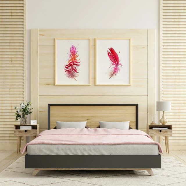 Scarlet Macaw shown in a room setting