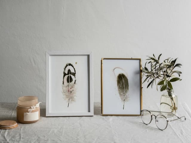 Ostrich shown in a room setting