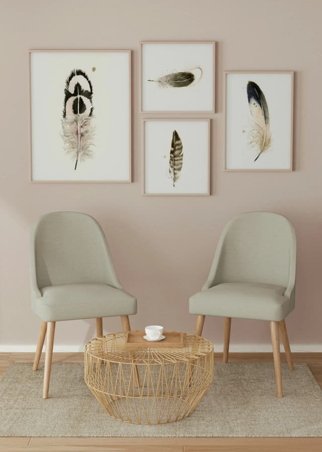 Ostrich shown in a room setting