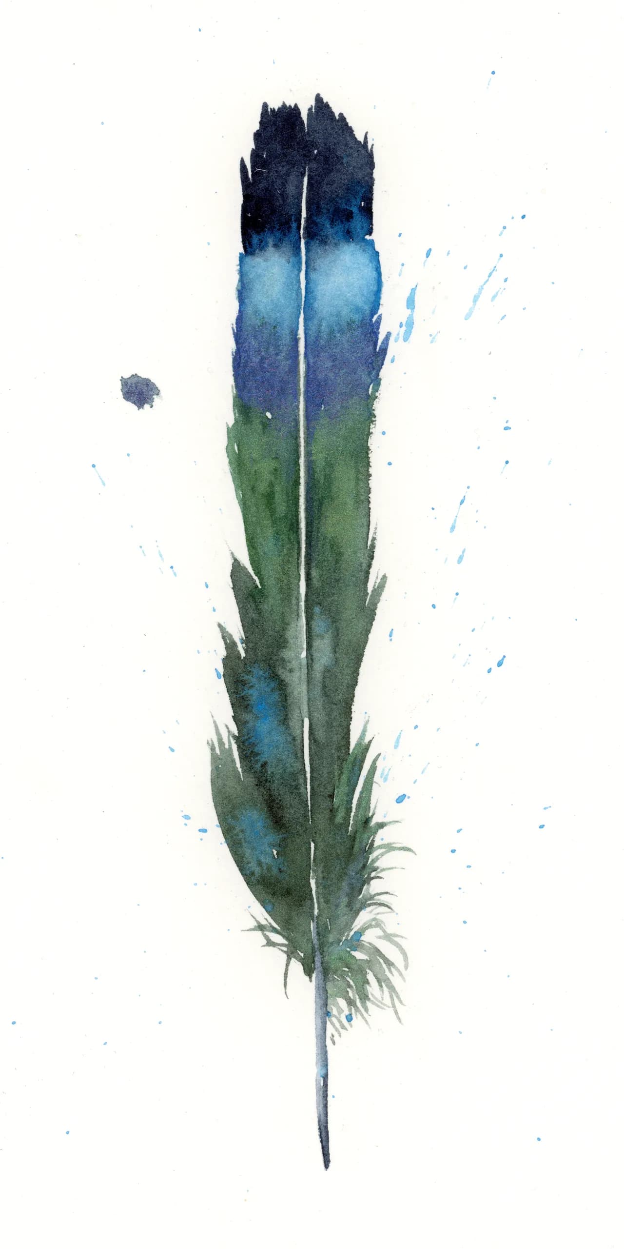 Magpie — watercolor by Shayna Larsen