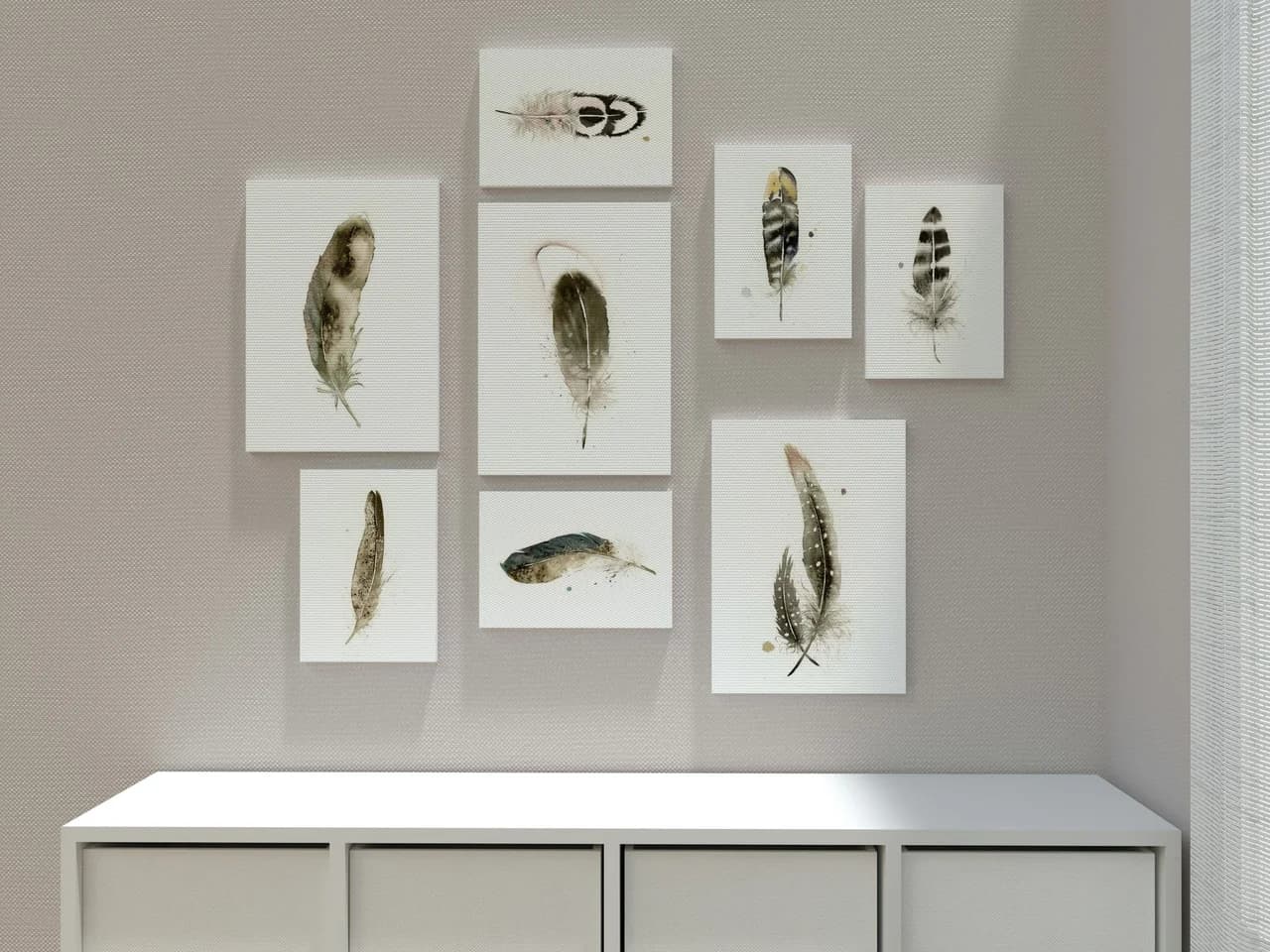 Pied Crow shown in a room setting