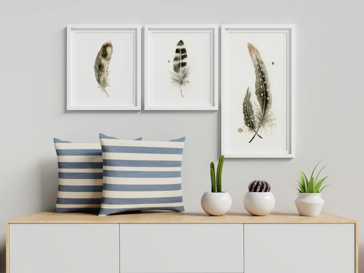 Pied Crow shown in a room setting