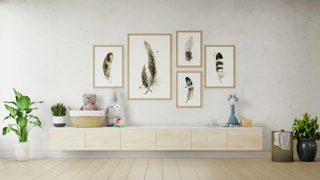 Pied Crow shown in a room setting