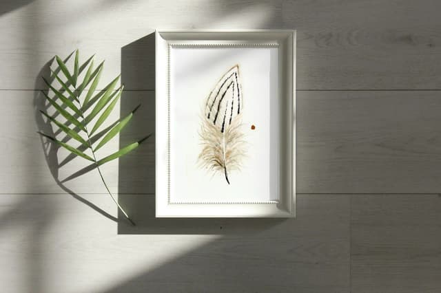 Silver Pheasant shown in a room setting