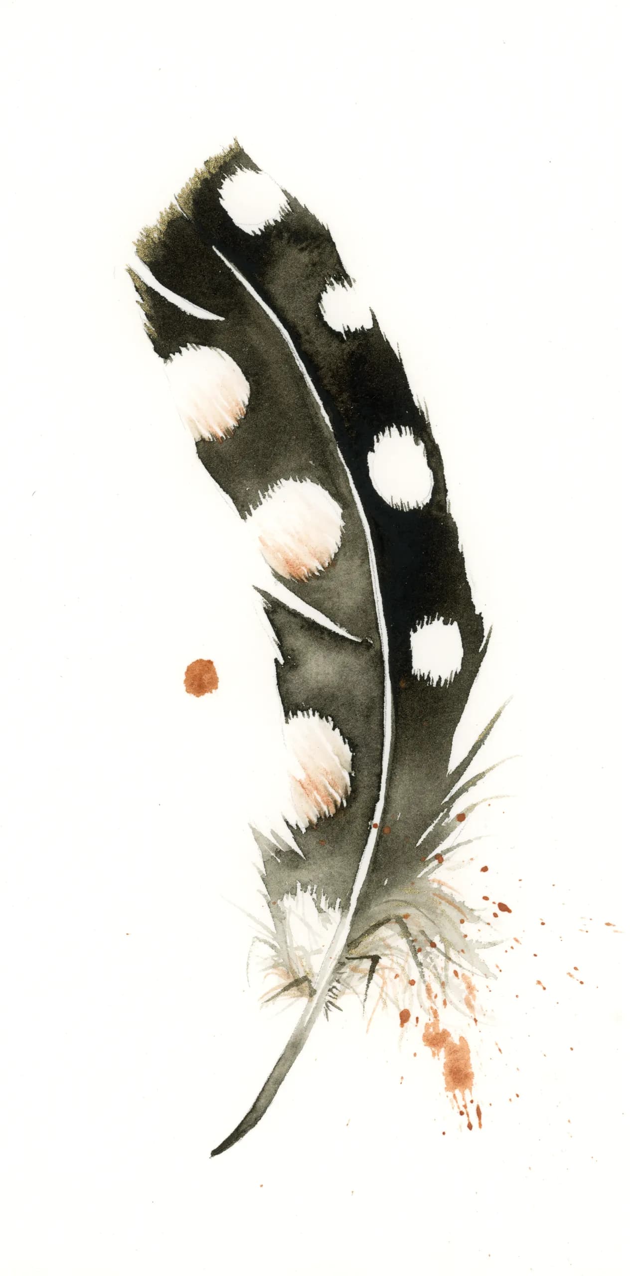 Spotted Woodpecker — watercolor by Shayna Larsen