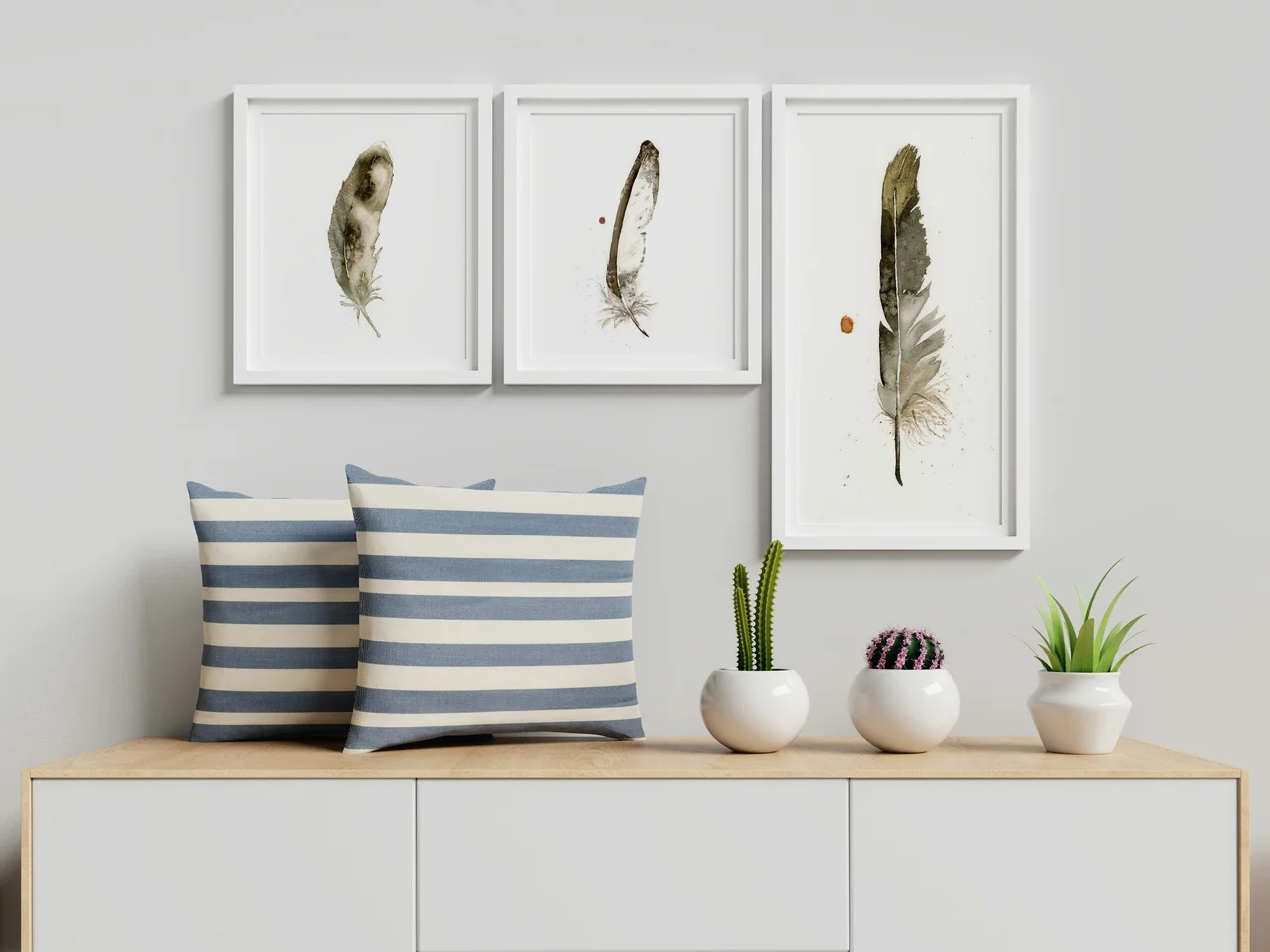 American Robin shown in a room setting