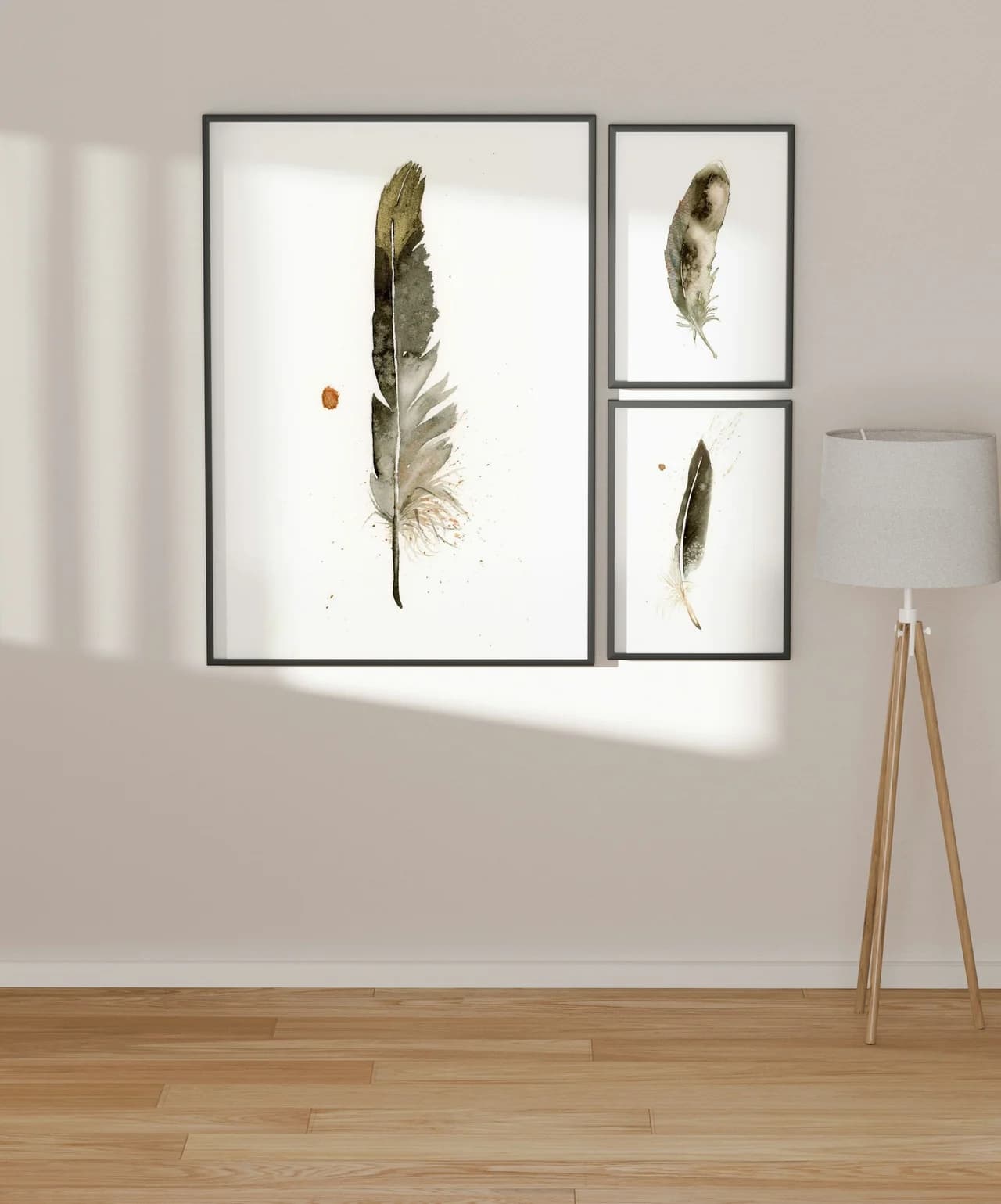 American Robin shown in a room setting