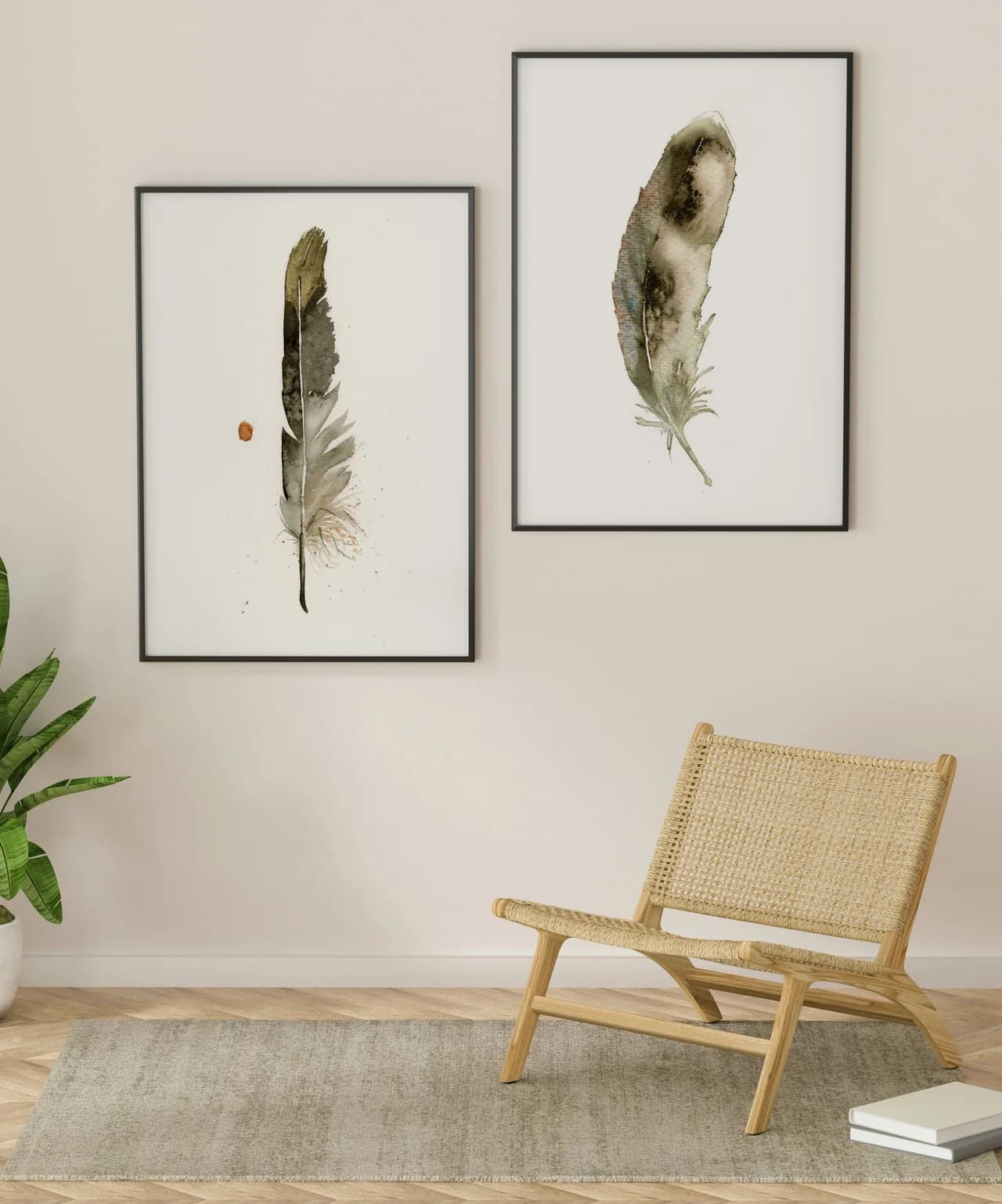 American Robin shown in a room setting