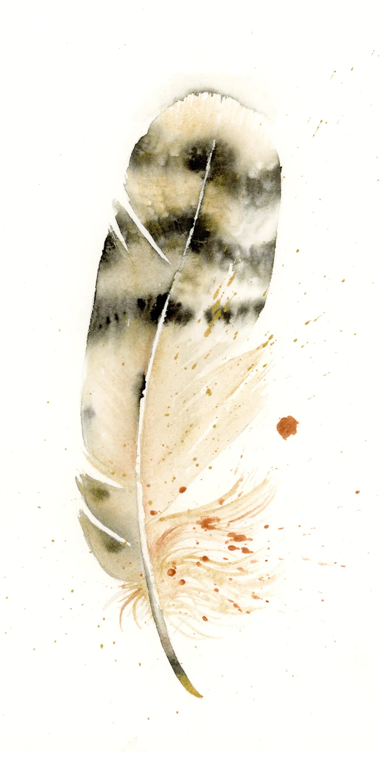 Owl — watercolor by Shayna Larsen