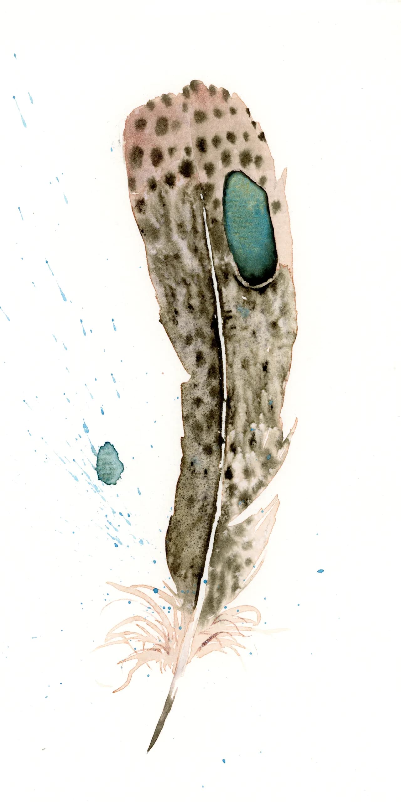 Peacock Pheasant — watercolor by Shayna Larsen