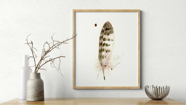 Hawk shown in a room setting