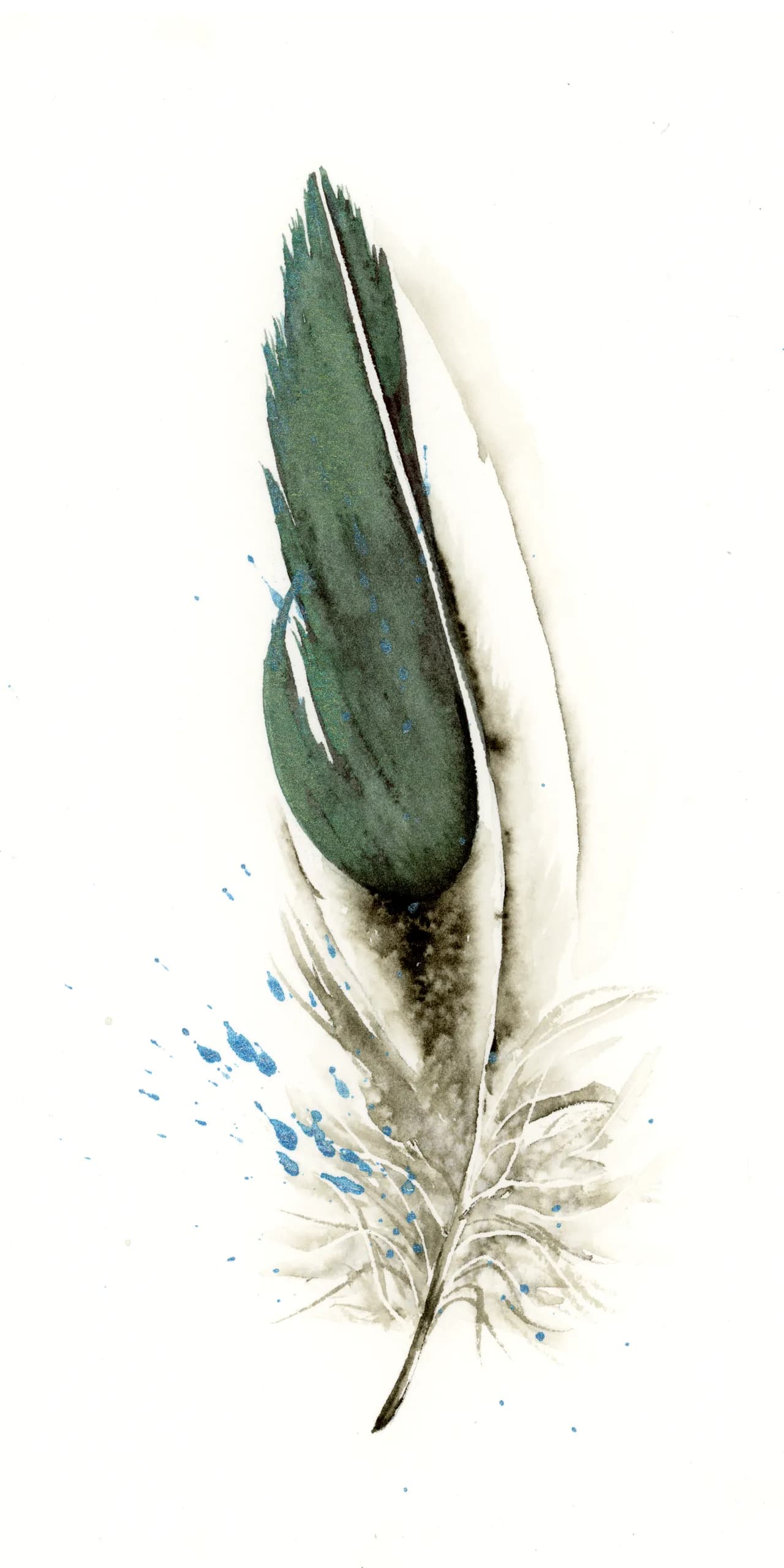 Wood Duck — watercolor by Shayna Larsen