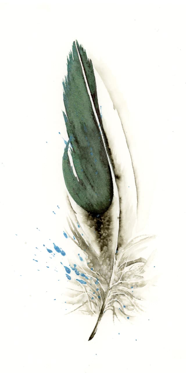 Wood Duck — watercolor by Shayna Larsen