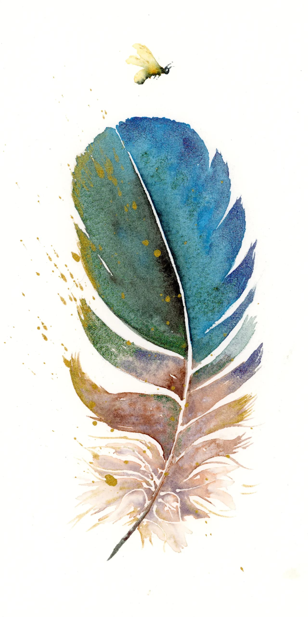 Hummingbird — watercolor by Shayna Larsen