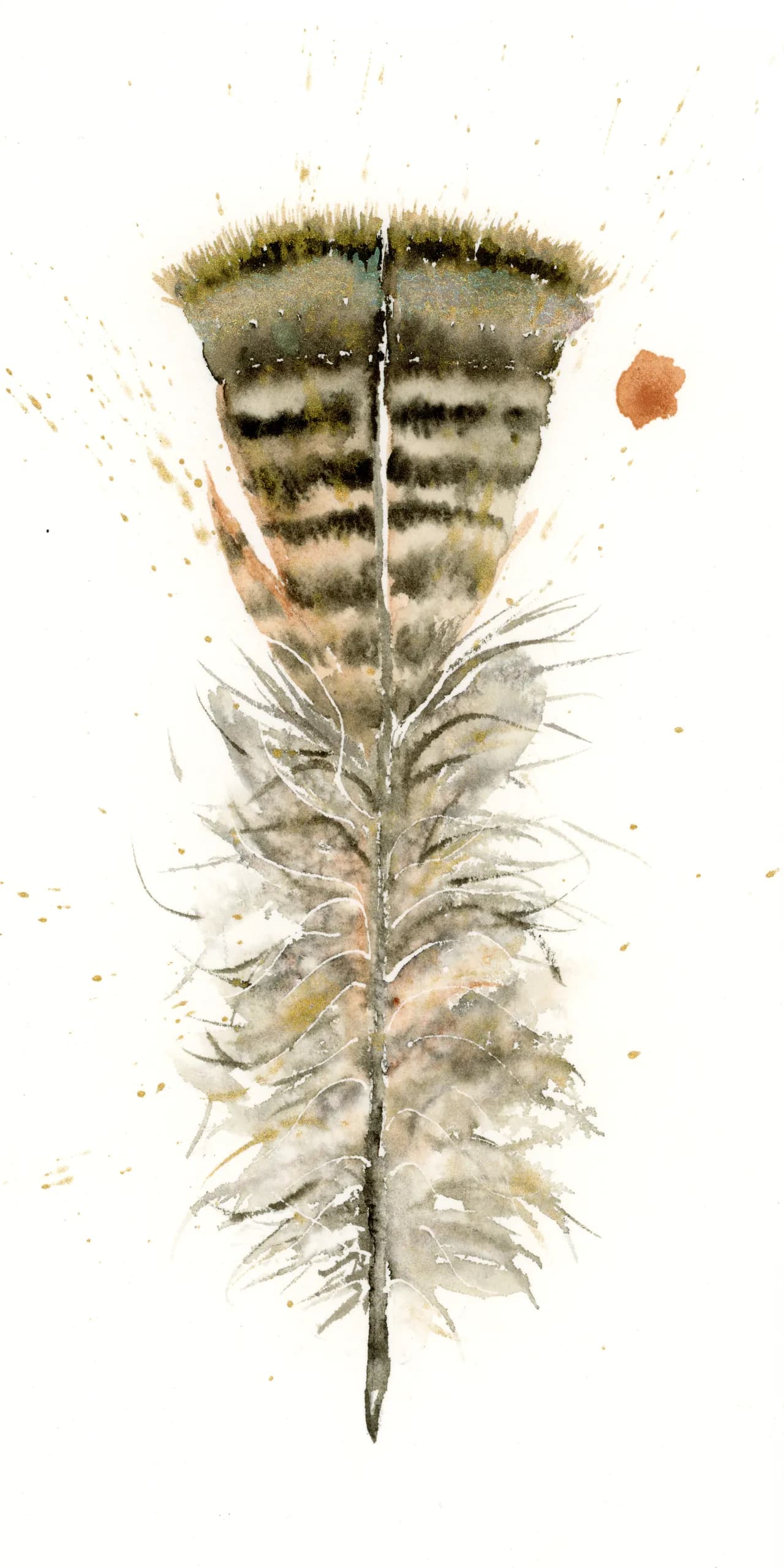 Turkey — watercolor by Shayna Larsen