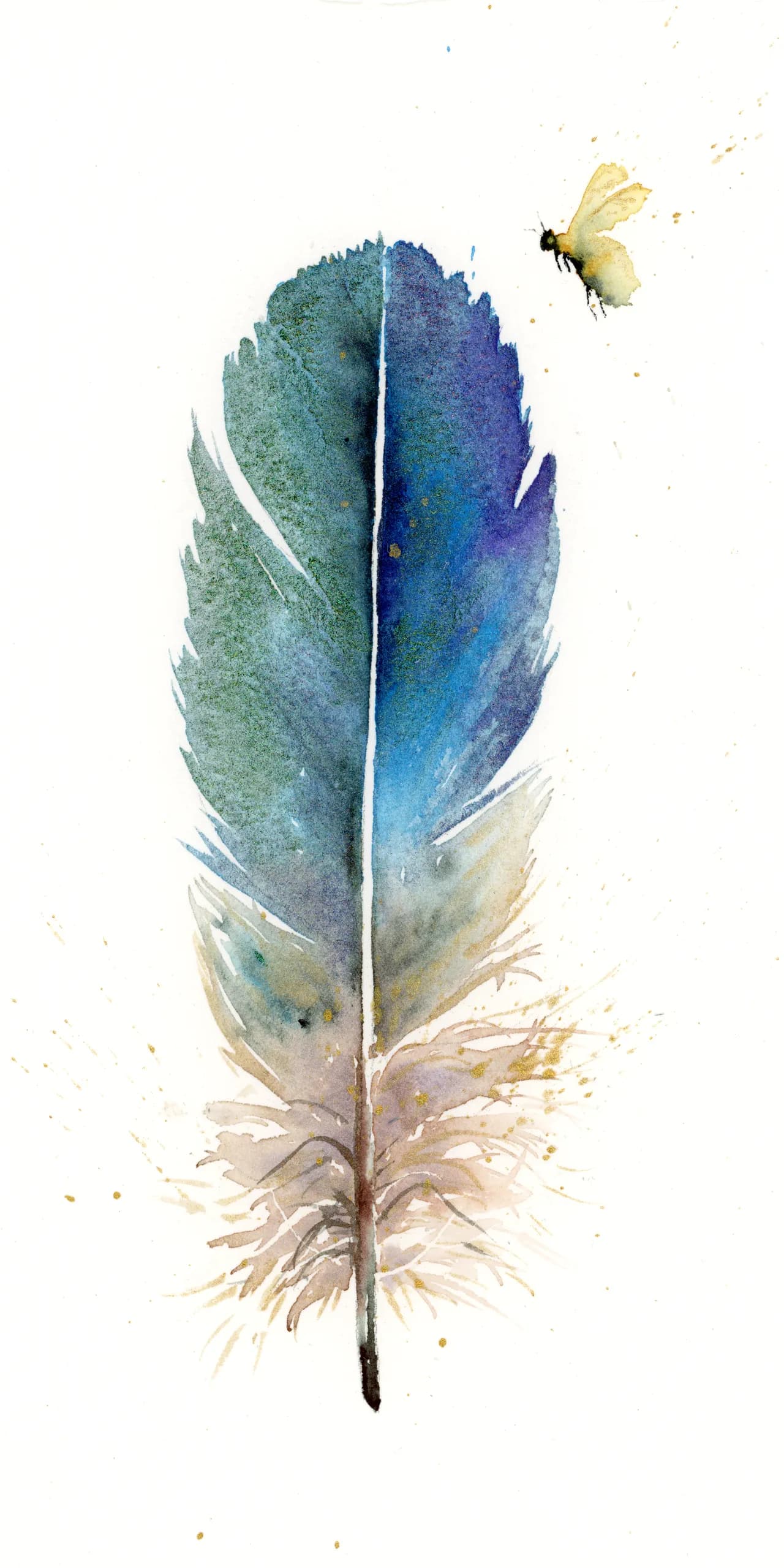 Hummingbird — watercolor by Shayna Larsen