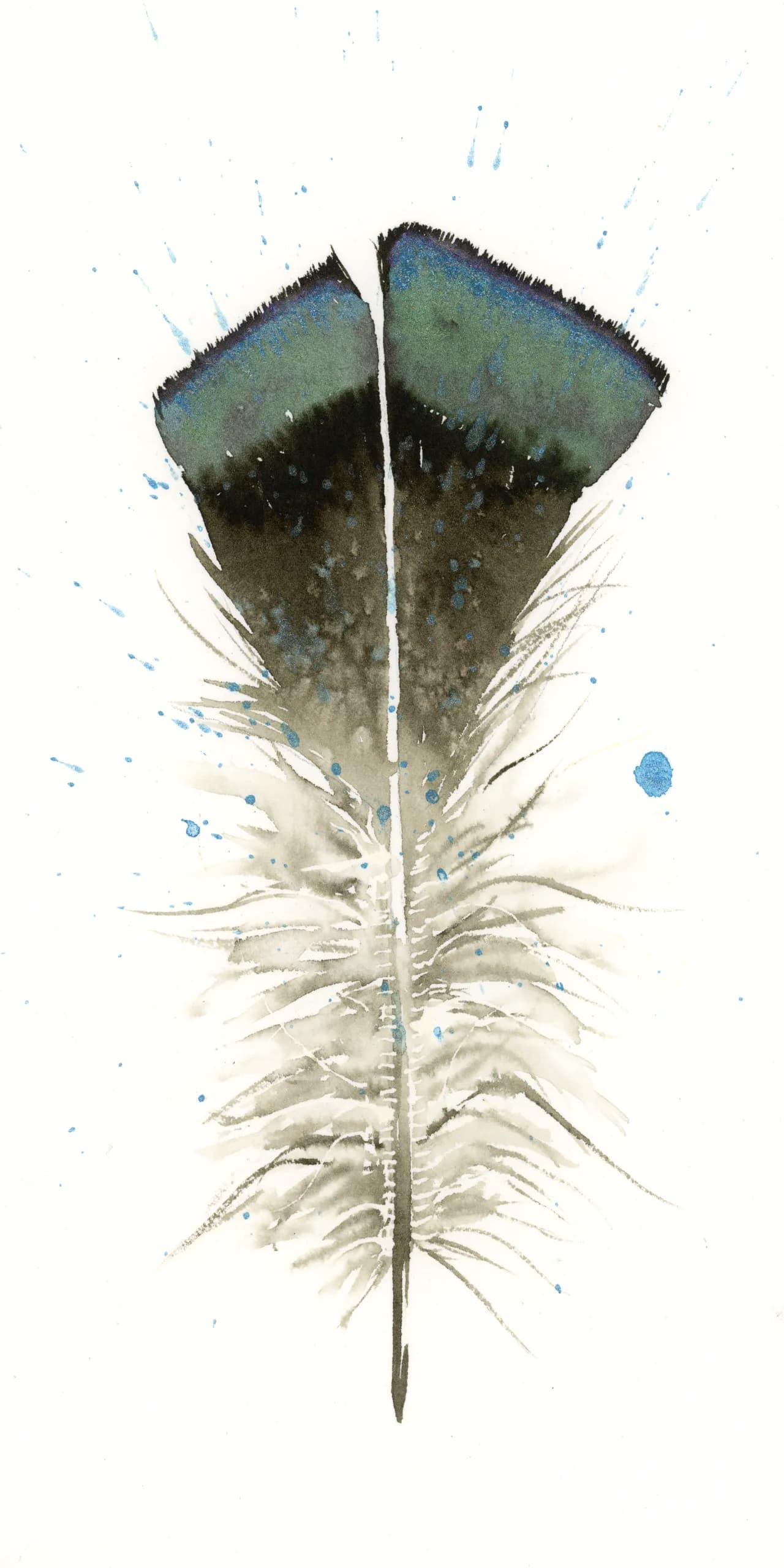 Turkey — watercolor by Shayna Larsen