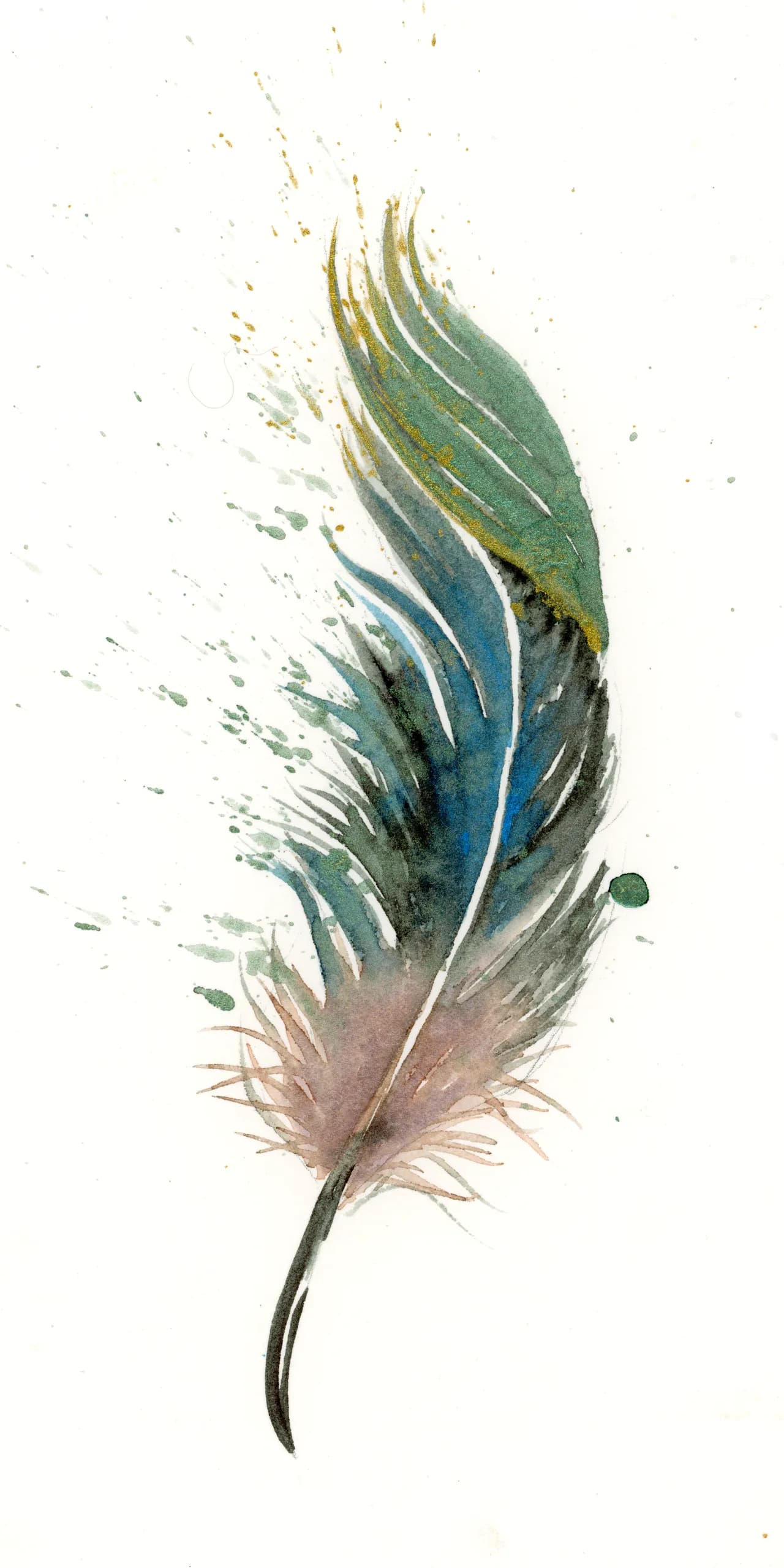 Peacock — watercolor by Shayna Larsen