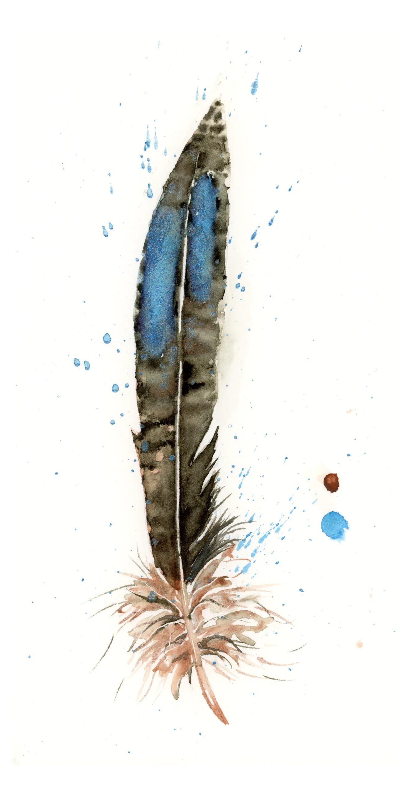 Bronzetailed Peacock Pheasant — watercolor by Shayna Larsen