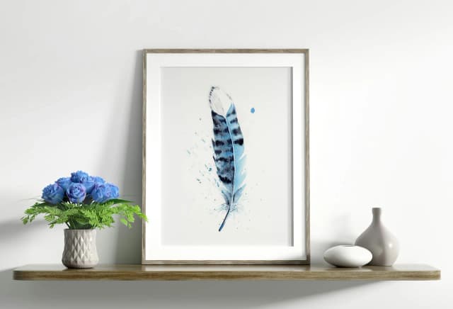 Blue Jay shown in a room setting